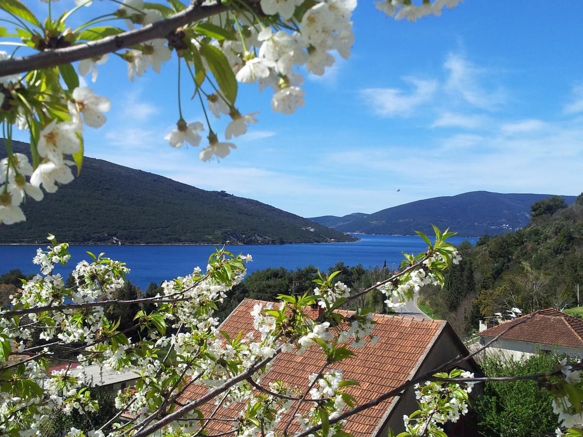 Апартаменты Vavic Apartments Херцег-Нови-34